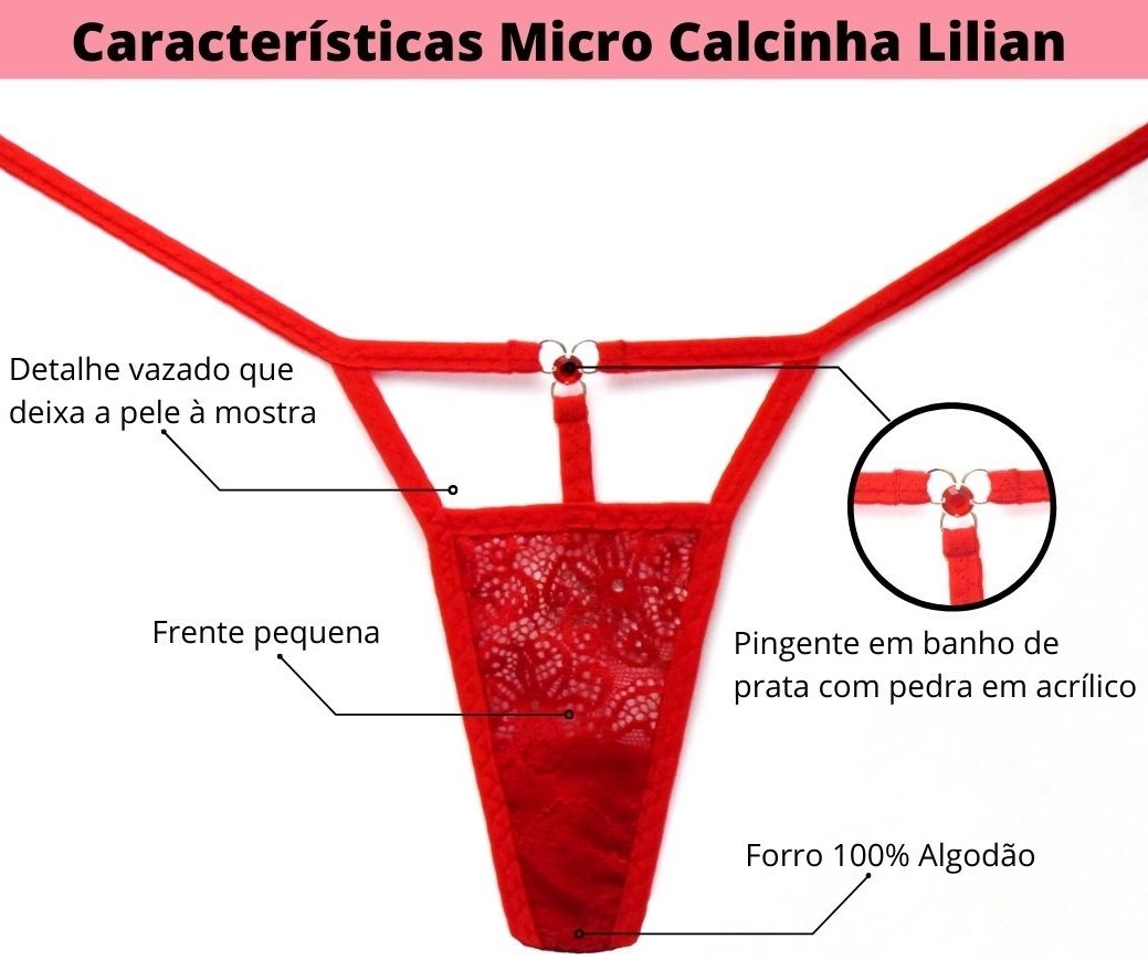 Características Micro Calcinha Lilian